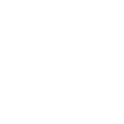 Scooter / Bike